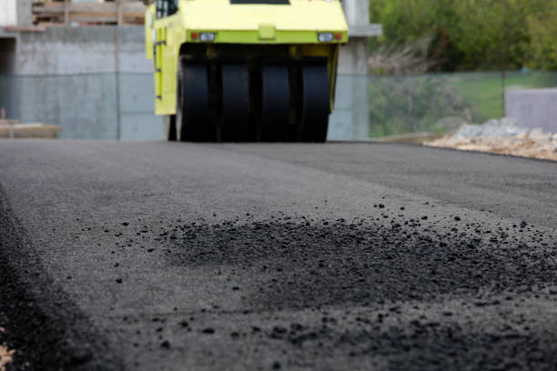 Trusted Baudette, MN Driveway Pavers Experts