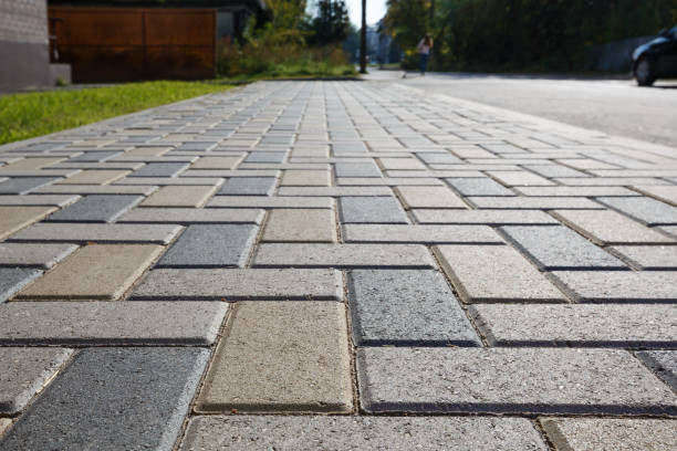 Best Residential Paver Driveway  in Baudette, MN