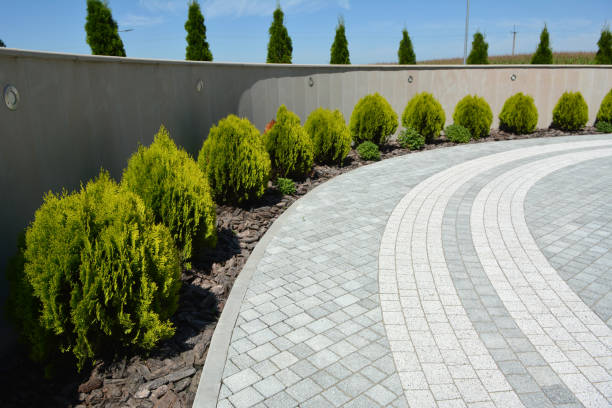  Baudette, MN Driveway Pavers Pros