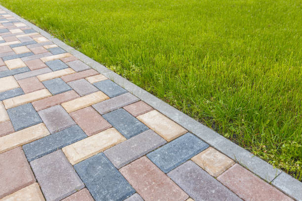 Best Driveway Pavers Near Me  in Baudette, MN